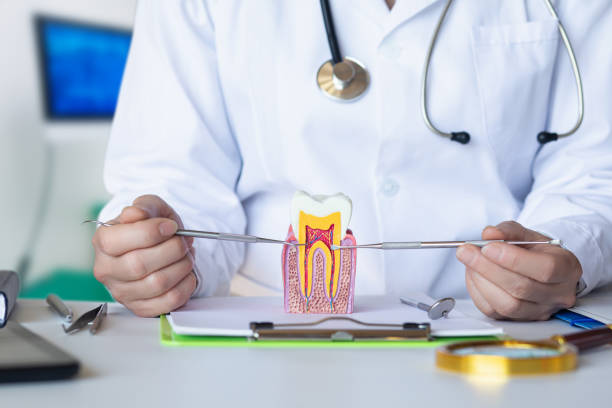 Best Emergency Cosmetic Dentistry (e.g., broken veneers) in Lenoir City, TN